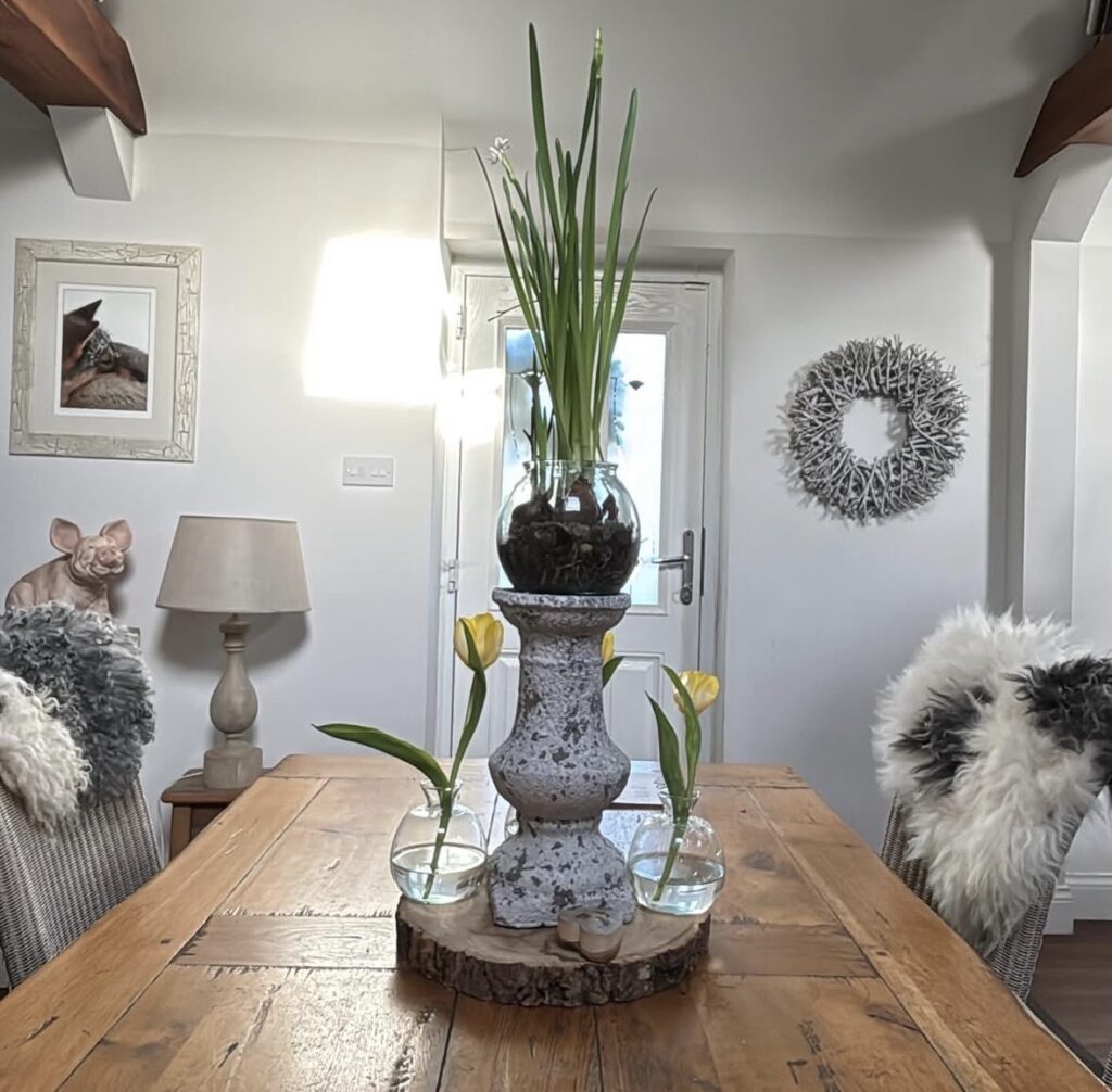 view from kitchen table