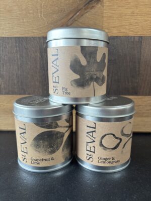 final tin collection